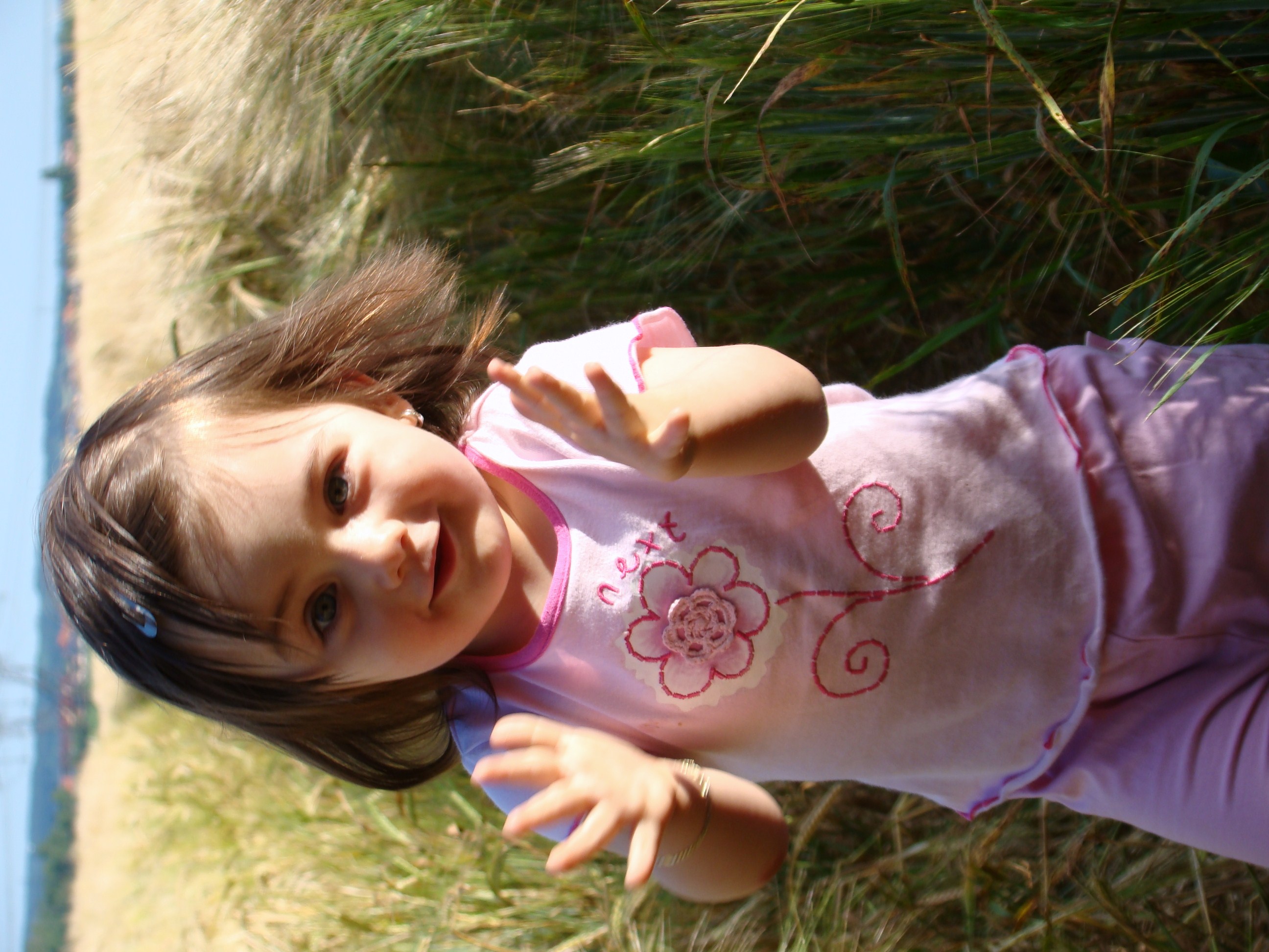 DSC00208_cb.JPG